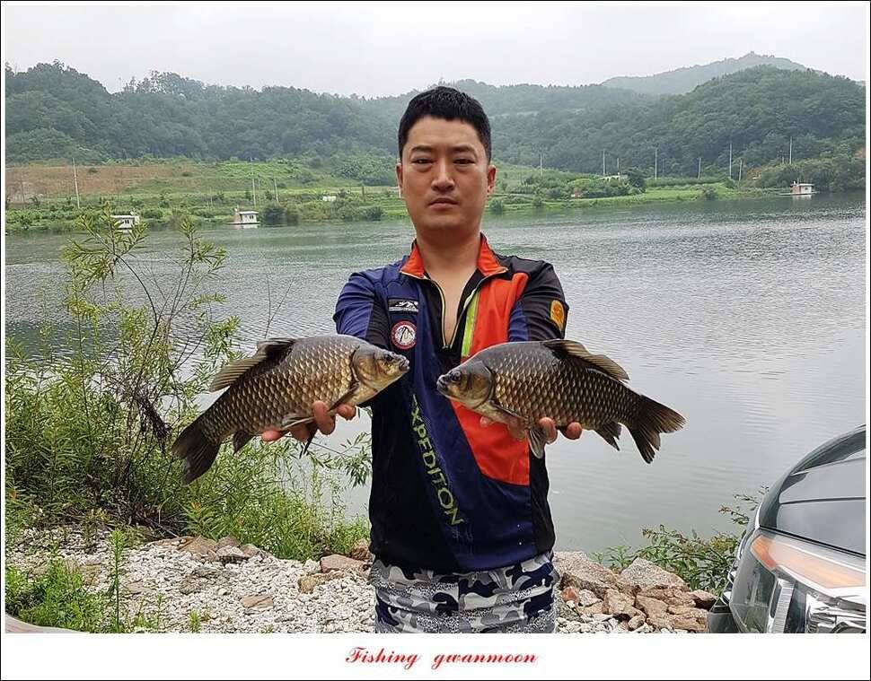 돌감실리곡한버들화곡지 조황 (조황조행기 - 특파원조황)