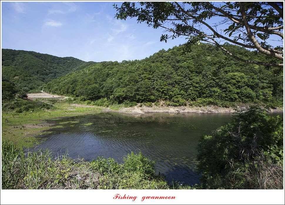 칠성지 개장달천강 월척 (조황조행기 - 특파원조황)