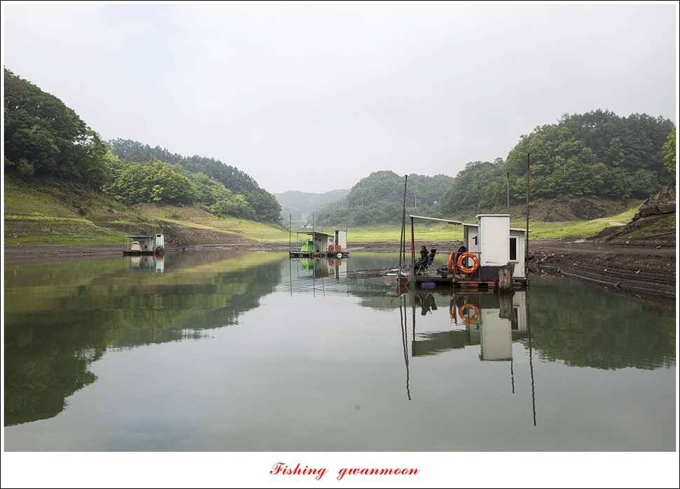 한버들 사짜 및 월척 대박화곡지 사짜신매 월척실리곡 월척 (조황조행기 - 특파원조황)