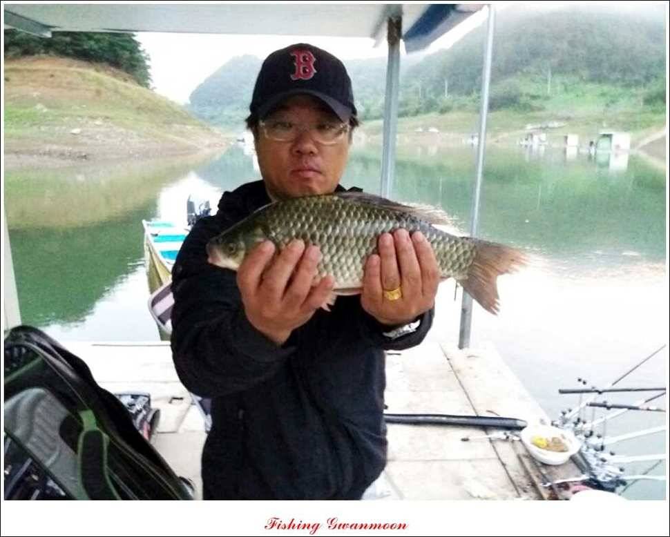 한버들 월척 및 마릿수실리곡 월척충주호 노지 월척 (조황조행기 - 특파원조황)