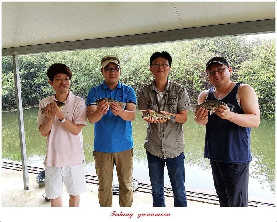 돌감실리곡한버들화곡지 조황 (조황조행기 - 특파원조황)