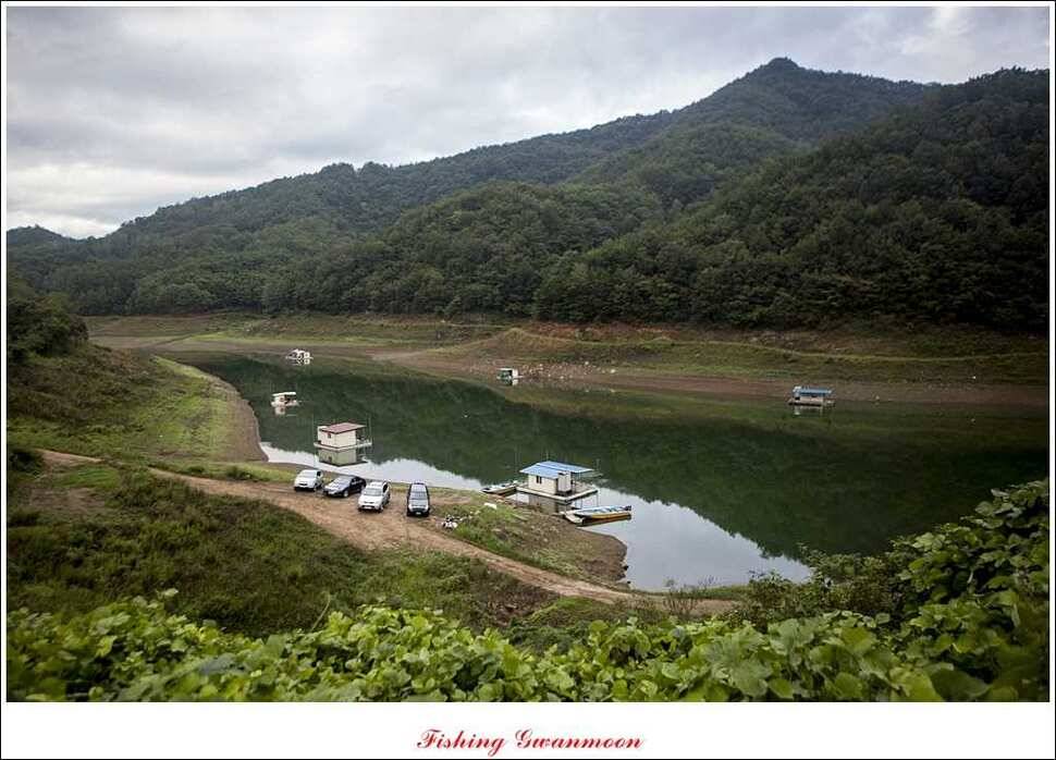 한버들 월척 및 마릿수실리곡 월척충주호 노지 월척 (조황조행기 - 특파원조황)