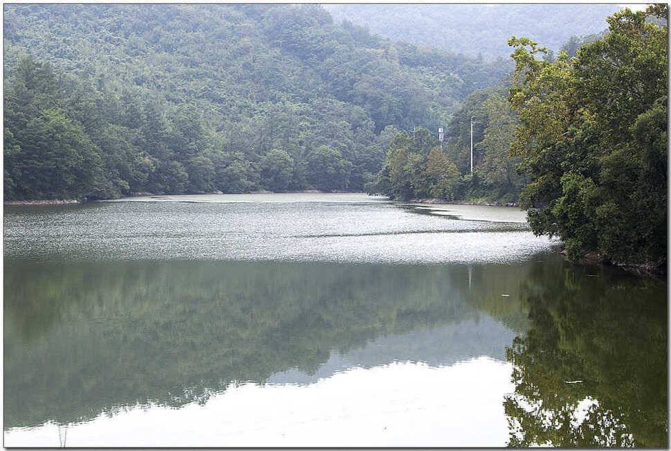 제일 월척주변 저수지 현황 (조황조행기 - 특파원조황)