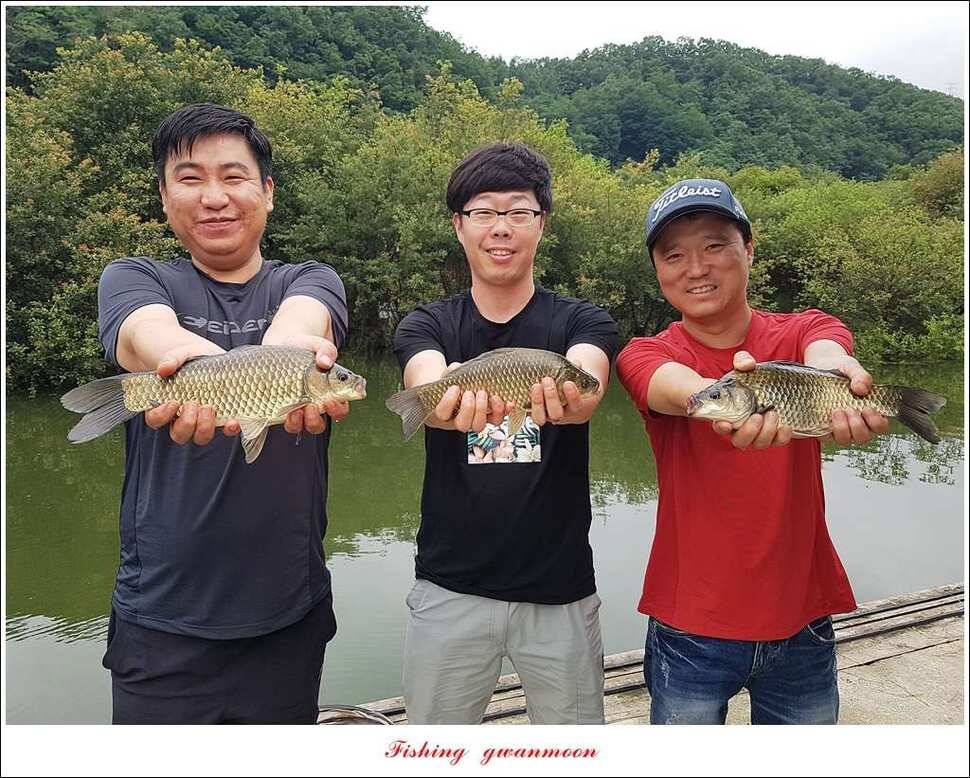 돌감실리곡한버들화곡지 조황 (조황조행기 - 특파원조황)