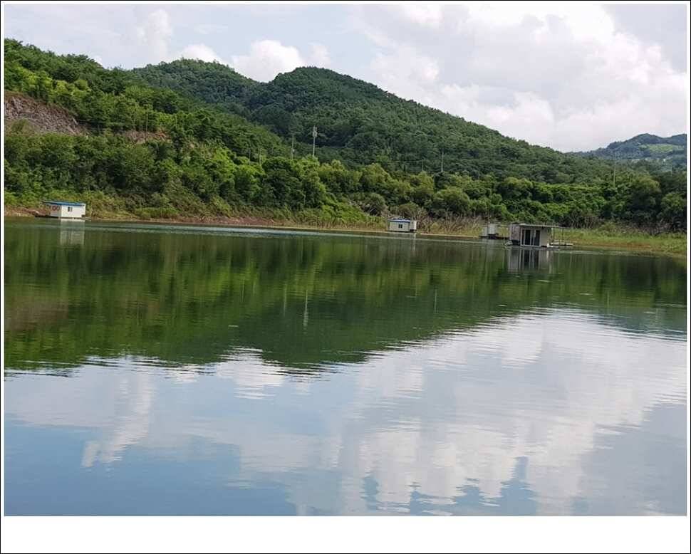실리곡병호화곡지 조황 (조황조행기 - 특파원조황)