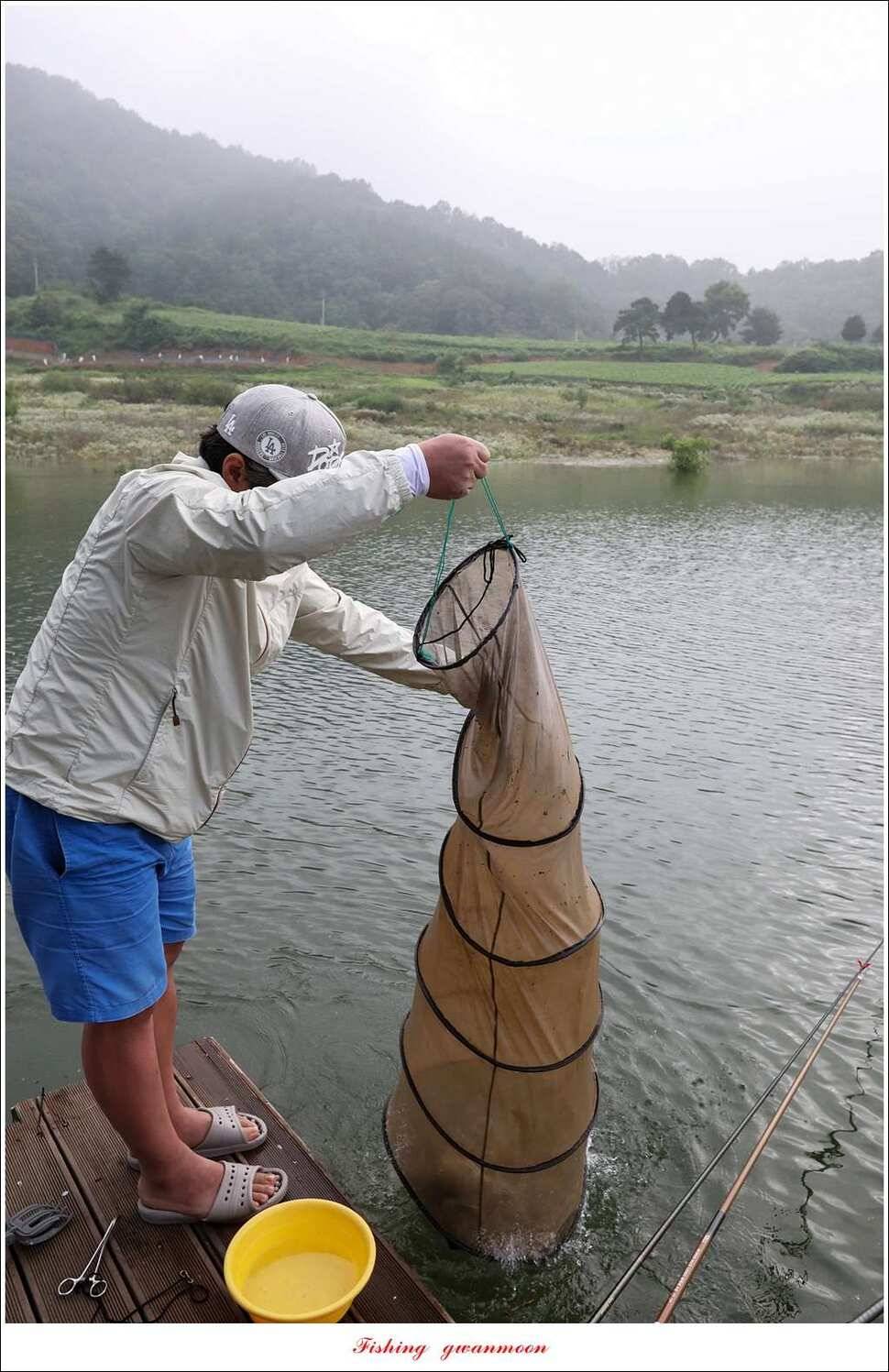 한버들 41 cm40 cm늘푸른 키로장어화곡지 사짜 (조황조행기 - 특파원조황)