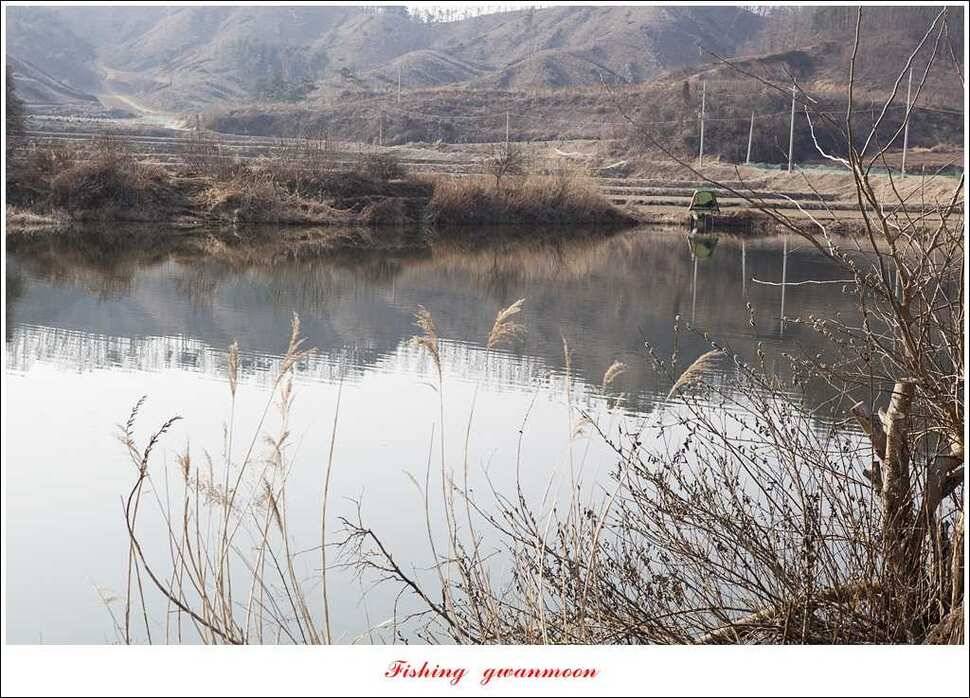 충주괴산권 조황 (조황조행기 - 특파원조황)