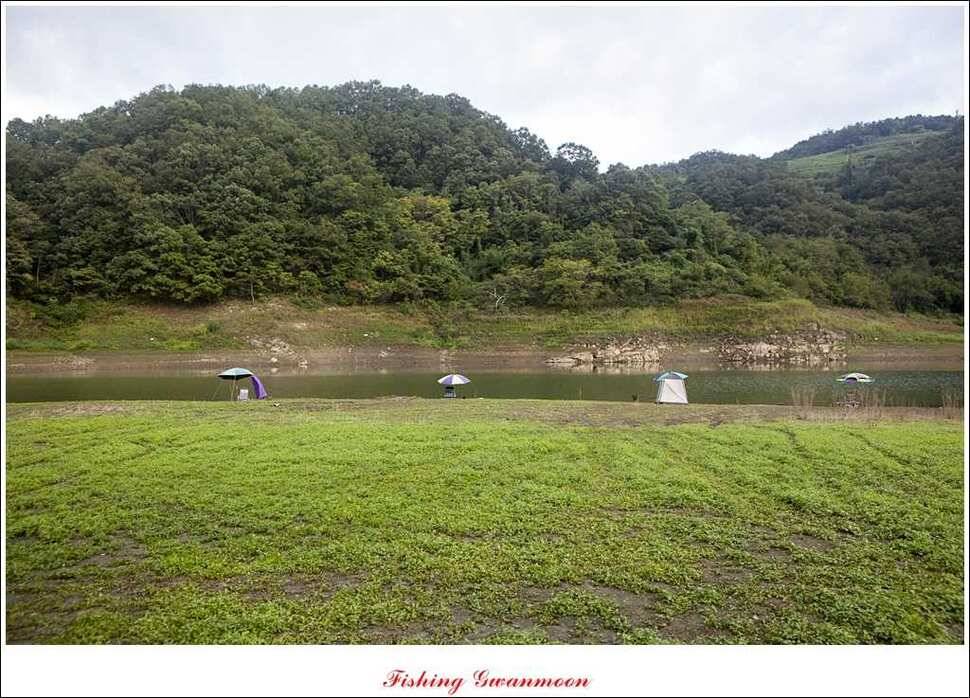 한버들 월척 및 마릿수실리곡 월척충주호 노지 월척 (조황조행기 - 특파원조황)