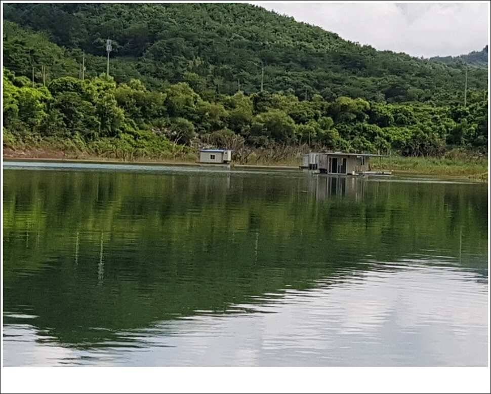 실리곡병호화곡지 조황 (조황조행기 - 특파원조황)