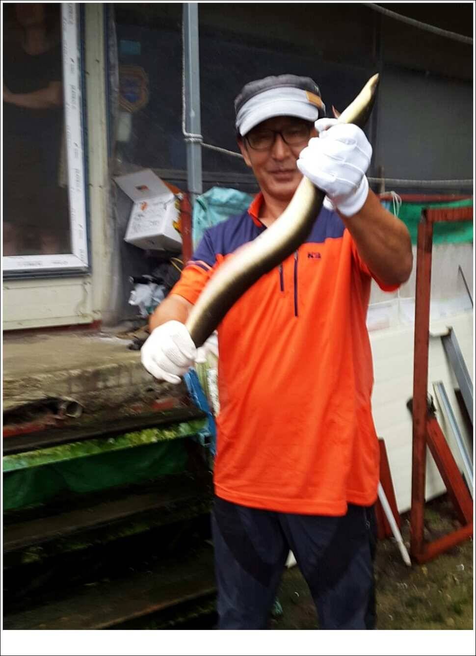 실리곡병호화곡지 조황 (조황조행기 - 특파원조황)