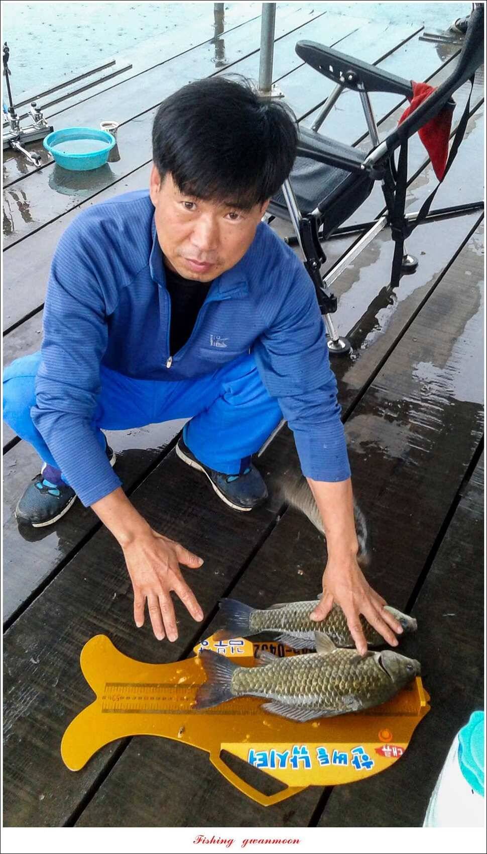 한버들 395 cm실리곡화곡지 마릿수 월척 조황 (조황조행기 - 특파원조황)