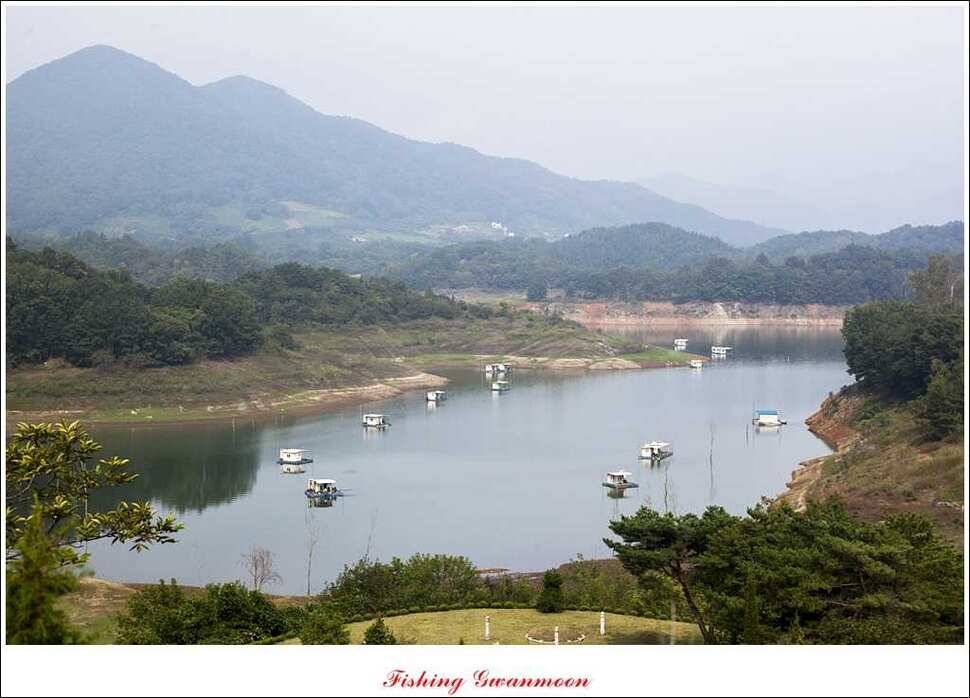 돌감실리곡 낚시터 월척 (조황조행기 - 특파원조황)