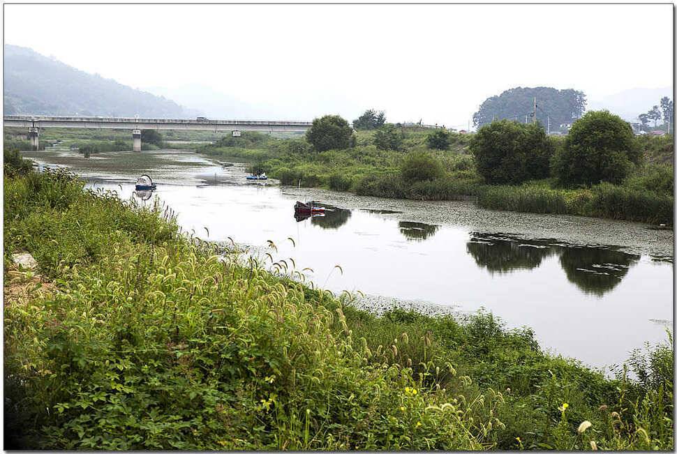 제일 월척주변 저수지 현황 (조황조행기 - 특파원조황)