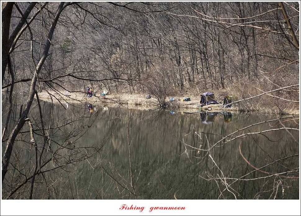 충주괴산권 조황 (조황조행기 - 특파원조황)