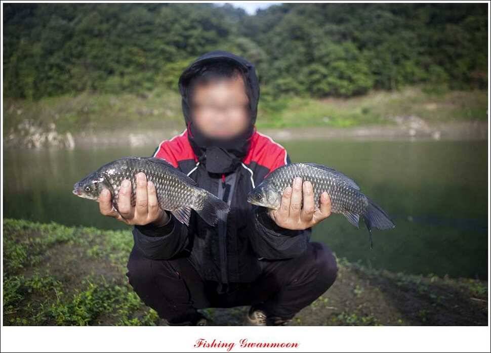 한버들 월척 및 마릿수실리곡 월척충주호 노지 월척 (조황조행기 - 특파원조황)
