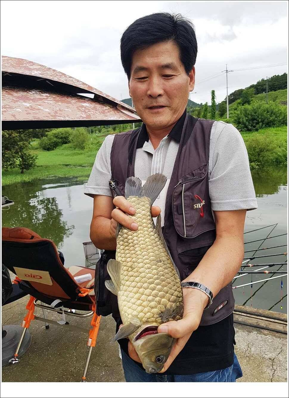 실리곡병호화곡지 조황 (조황조행기 - 특파원조황)