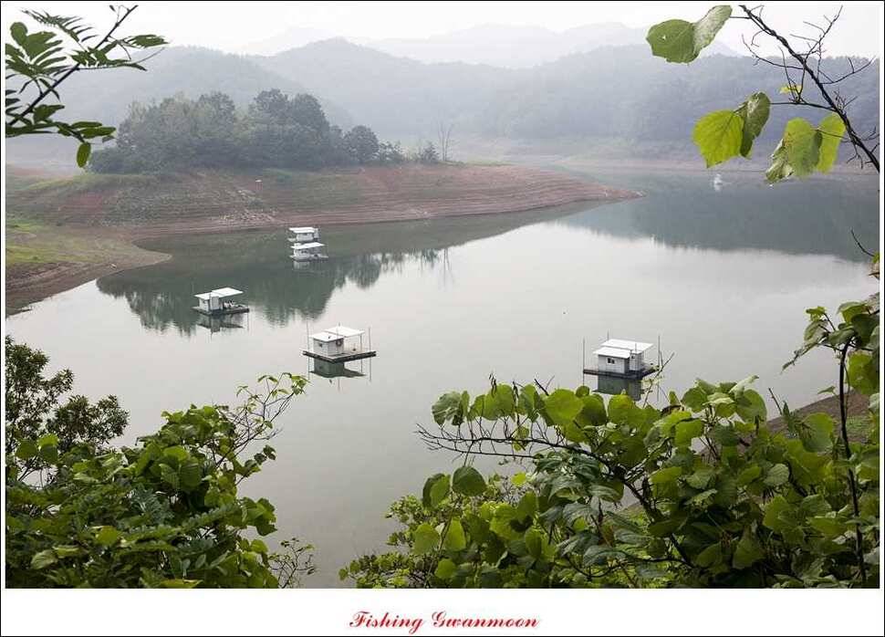 한버들돌감실리곡 조황 (조황조행기 - 특파원조황)