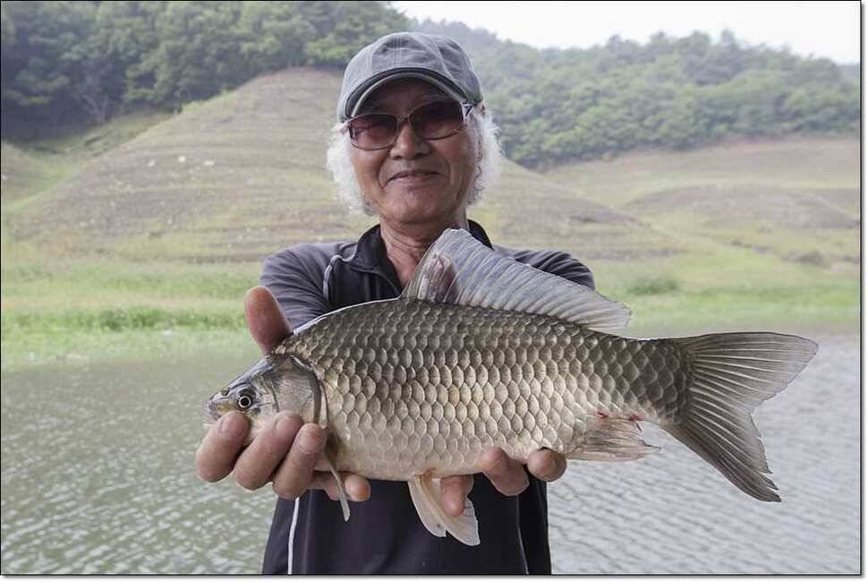 신매 낚시터 36cm돌감 좌대 모습 (조황조행기 - 특파원조황)