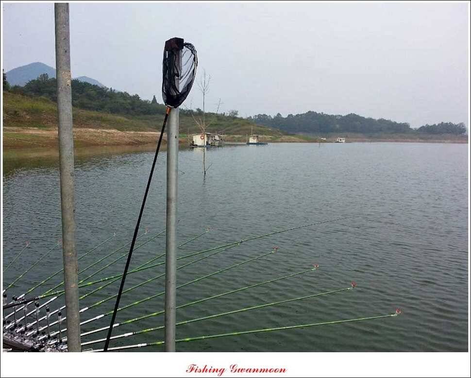 한버들돌감실리곡 조황 (조황조행기 - 특파원조황)