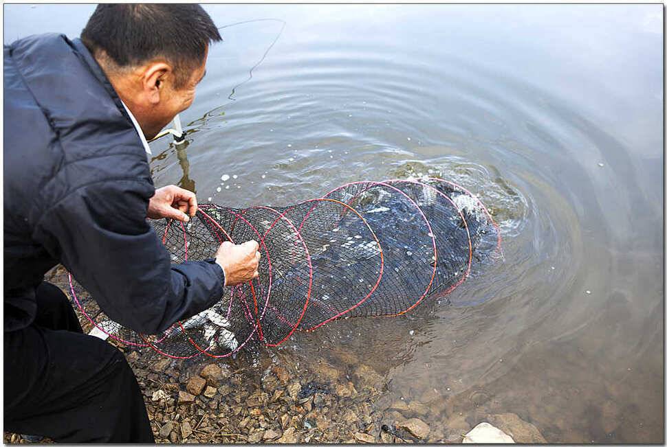 추산지 마릿수명서 46 cm 대물 (조황조행기 - 특파원조황)