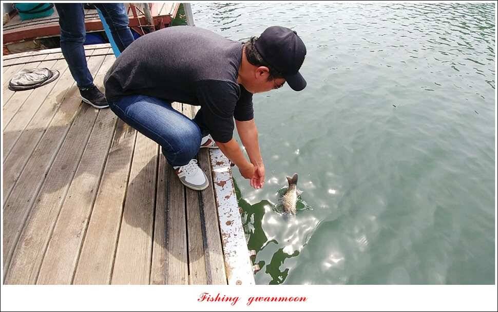 신매 사짜돌감 월척 조황 (조황조행기 - 특파원조황)
