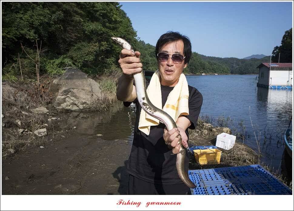 늘푸른화곡지실리곡신매 조황 (조황조행기 - 특파원조황)
