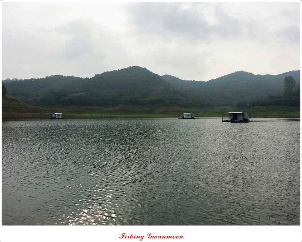한버들돌감실리곡 조황 (조황조행기 - 특파원조황)