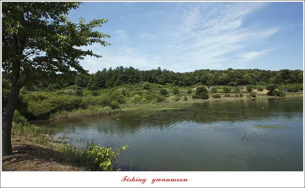칠성지 개장달천강 월척 (조황조행기 - 특파원조황)