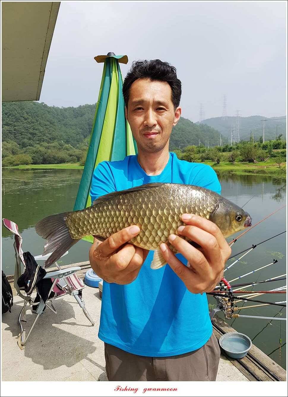 한버들 41 cm40 cm늘푸른 키로장어화곡지 사짜 (조황조행기 - 특파원조황)