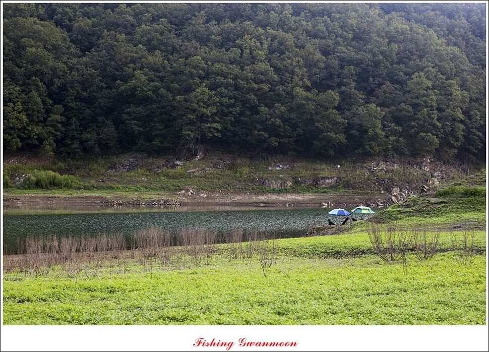 한버들 월척 및 마릿수실리곡 월척충주호 노지 월척 (조황조행기 - 특파원조황)