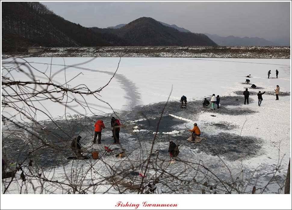 충주권 빙어 조황 (조황조행기 - 특파원조황)