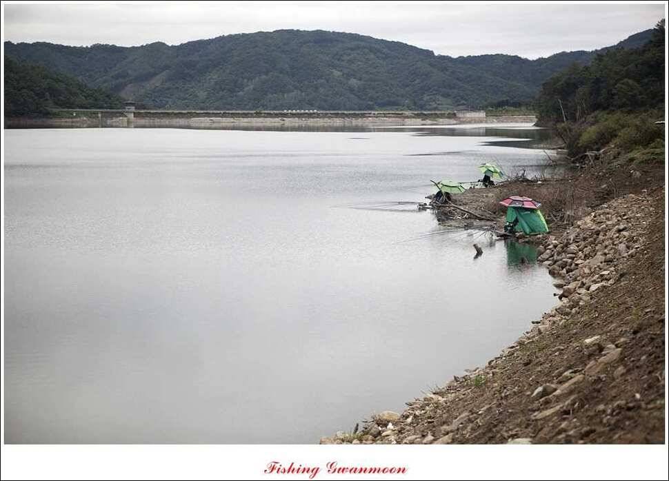한버들 월척 및 마릿수실리곡 월척충주호 노지 월척 (조황조행기 - 특파원조황)