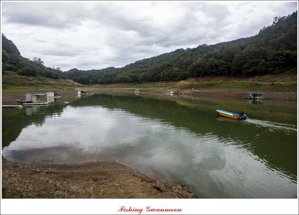 실리곡 호조황한버들화곡지 조황 (조황조행기 - 특파원조황)