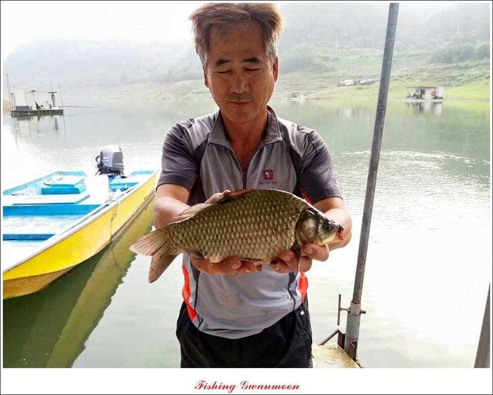 한버들돌감실리곡 조황 (조황조행기 - 특파원조황)