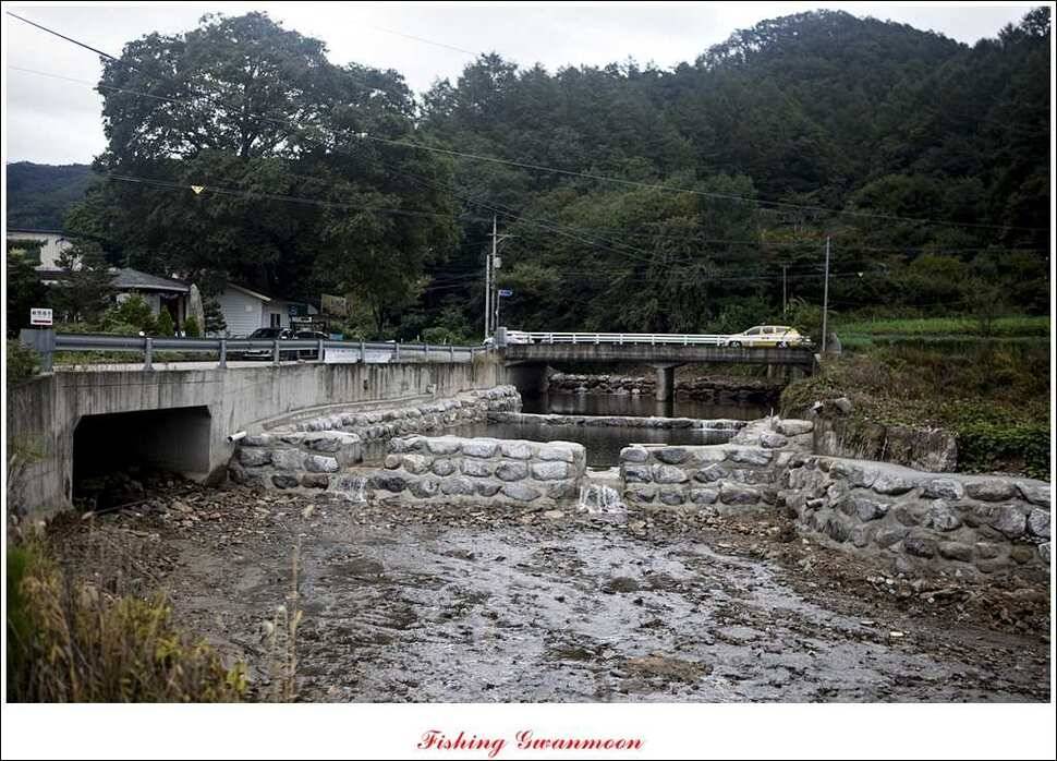 한버들 월척 및 마릿수실리곡 월척충주호 노지 월척 (조황조행기 - 특파원조황)