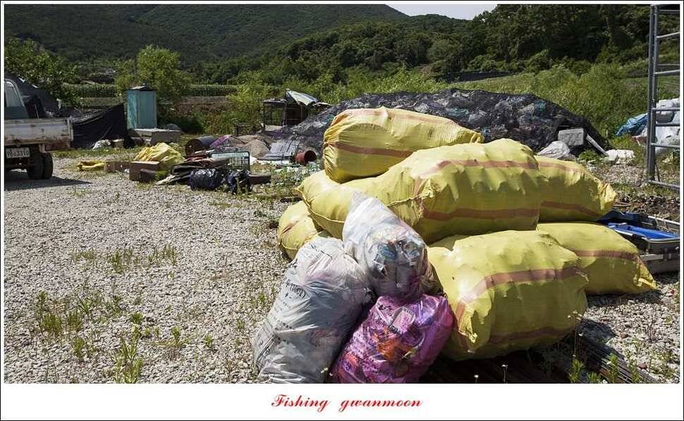 칠성지 개장달천강 월척 (조황조행기 - 특파원조황)