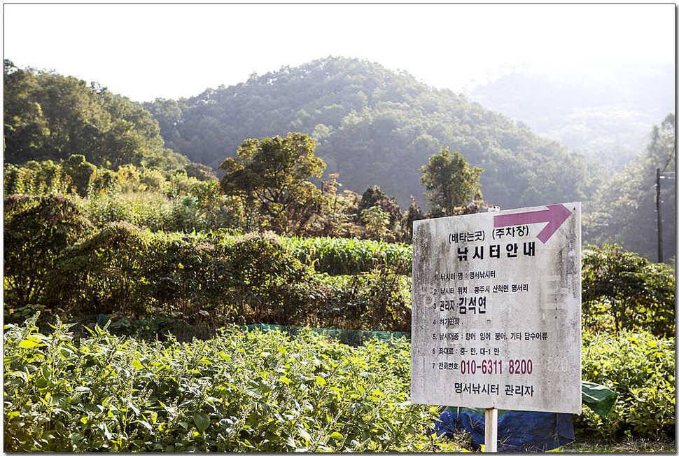 추산지 마릿수명서 46 cm 대물 (조황조행기 - 특파원조황)