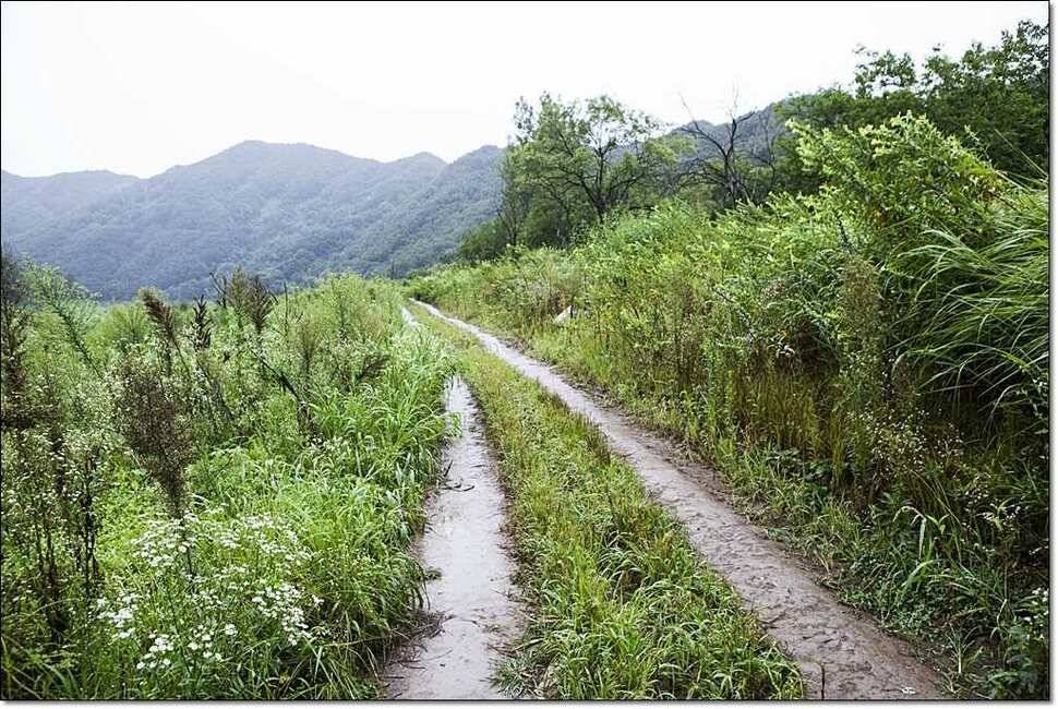 명서리 노지 월척 (조황조행기 - 특파원조황)