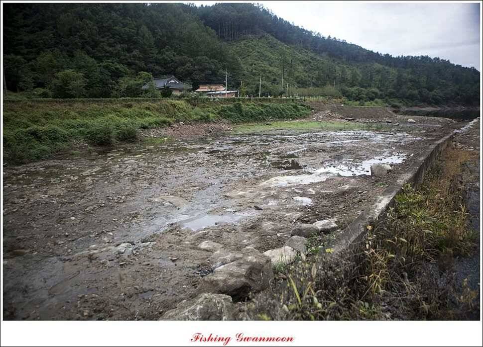한버들 월척 및 마릿수실리곡 월척충주호 노지 월척 (조황조행기 - 특파원조황)