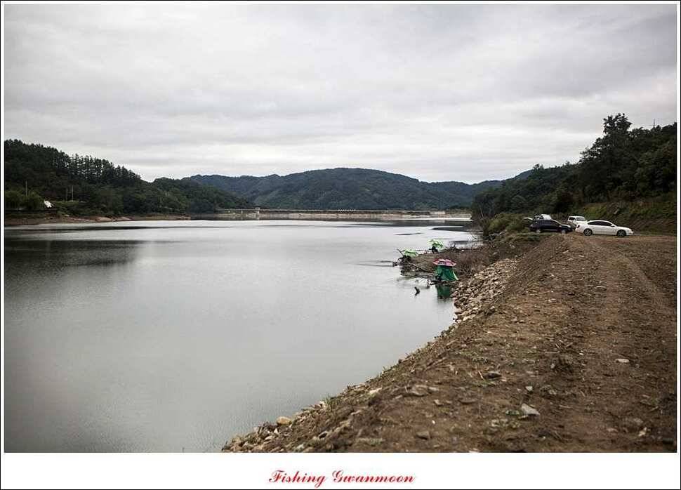 한버들 월척 및 마릿수실리곡 월척충주호 노지 월척 (조황조행기 - 특파원조황)
