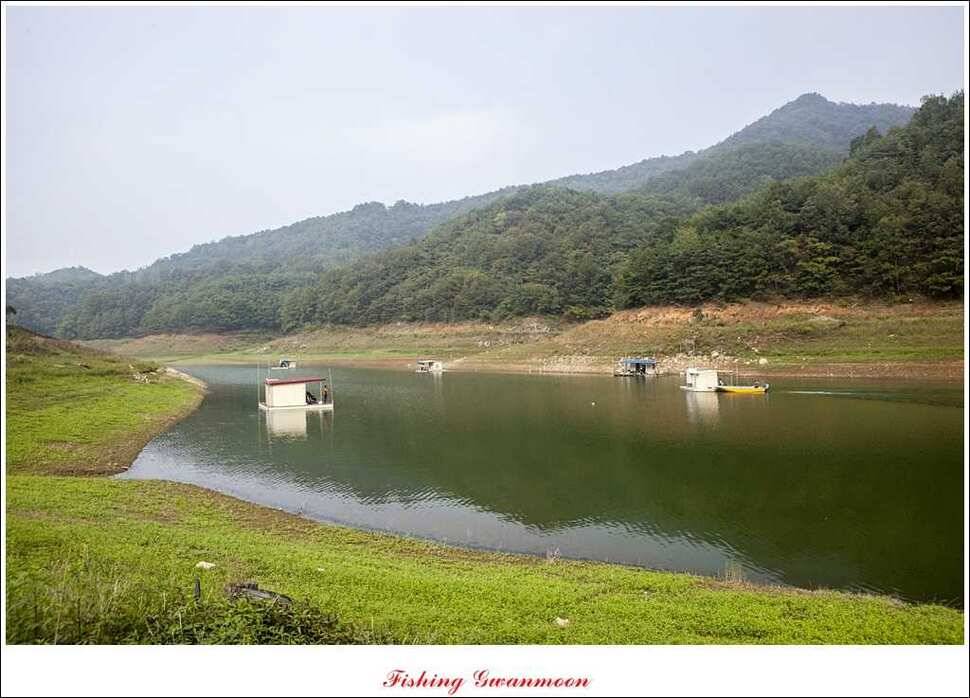 한버들돌감실리곡 조황 (조황조행기 - 특파원조황)
