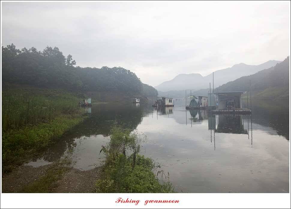 신매 사짜윤한버들 월척 조황 (조황조행기 - 특파원조황)