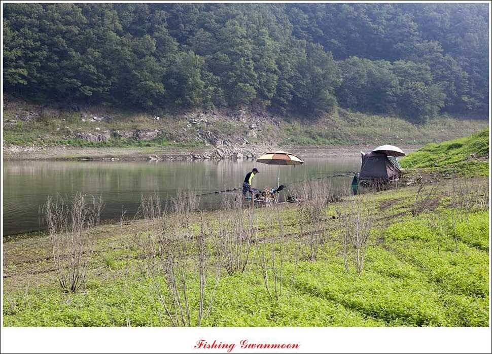 한버들돌감실리곡 조황 (조황조행기 - 특파원조황)