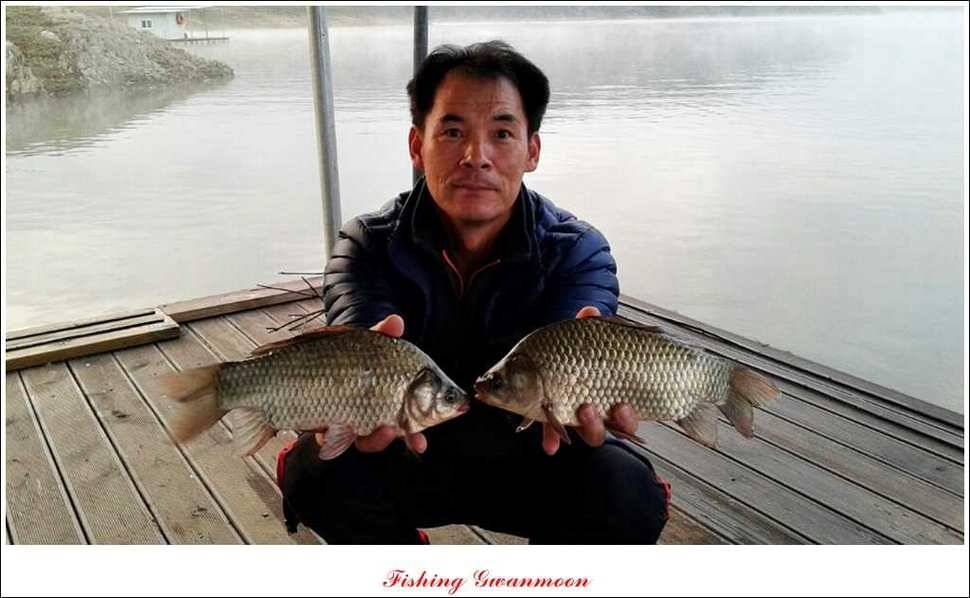 한버들실리곡돌감짱가네 조황 (조황조행기 - 특파원조황)