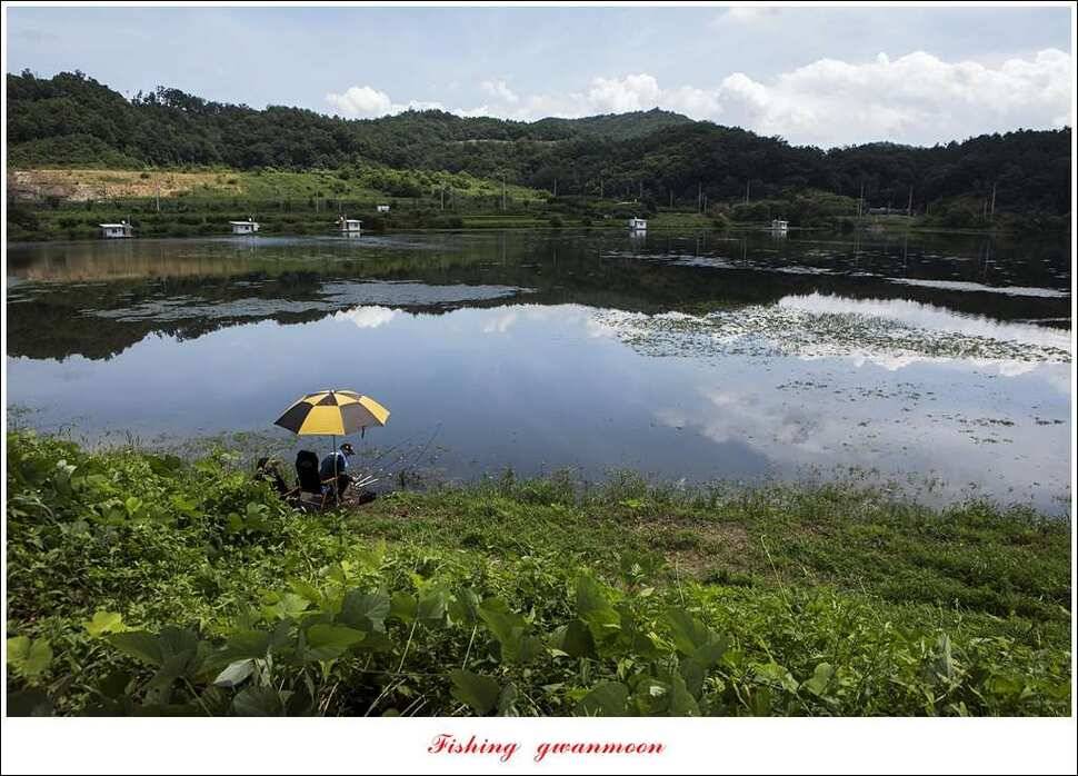 늘푸른화곡지실리곡신매 조황 (조황조행기 - 특파원조황)