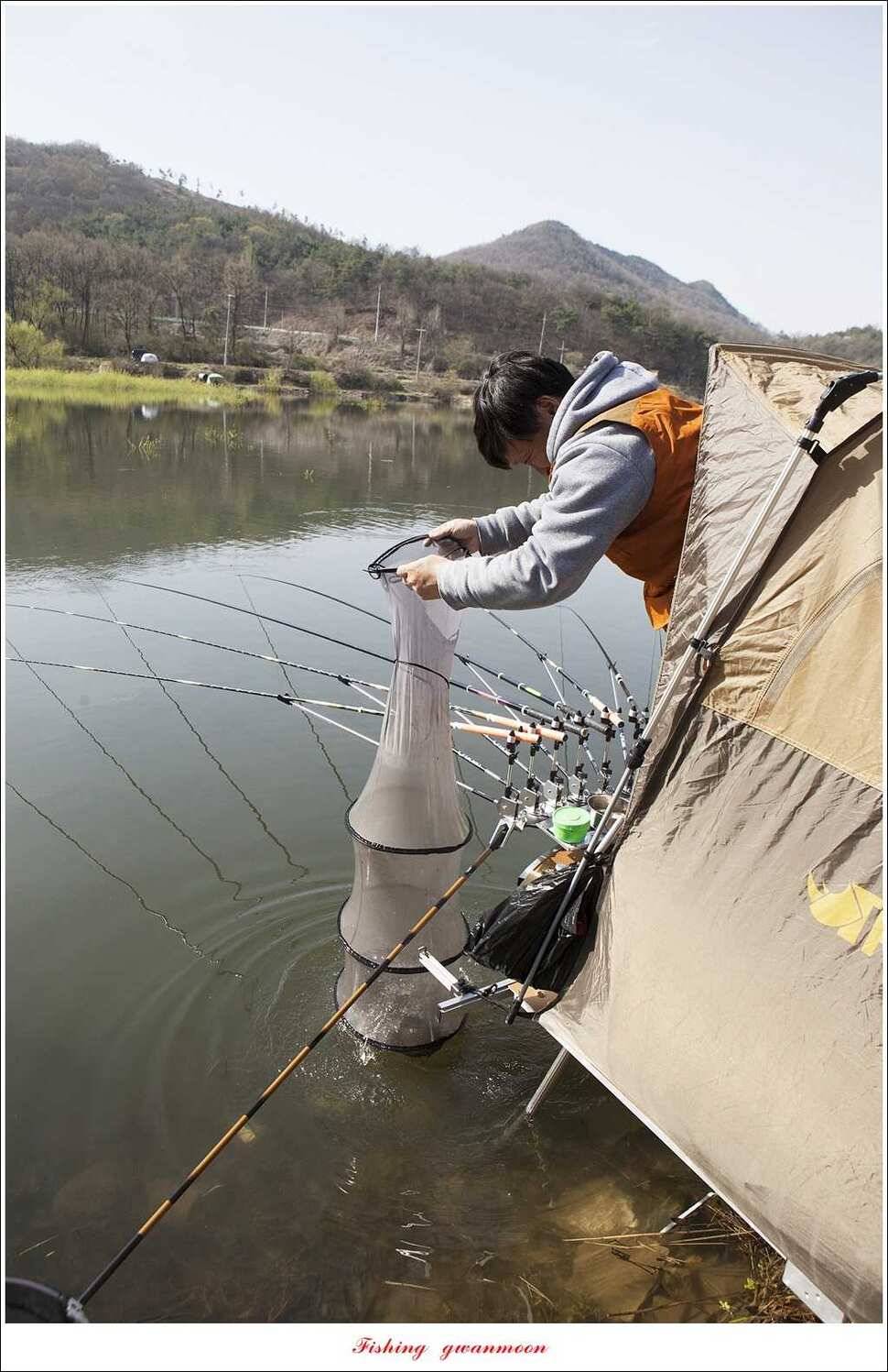 매전지 395 cm화곡지 조황 (조황조행기 - 특파원조황)