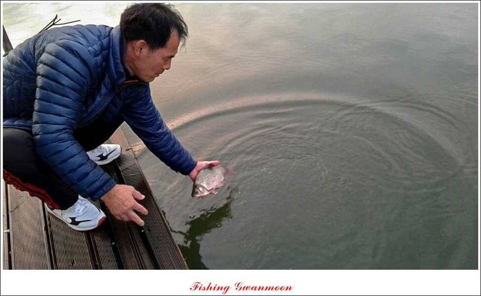 한버들실리곡돌감짱가네 조황 (조황조행기 - 특파원조황)