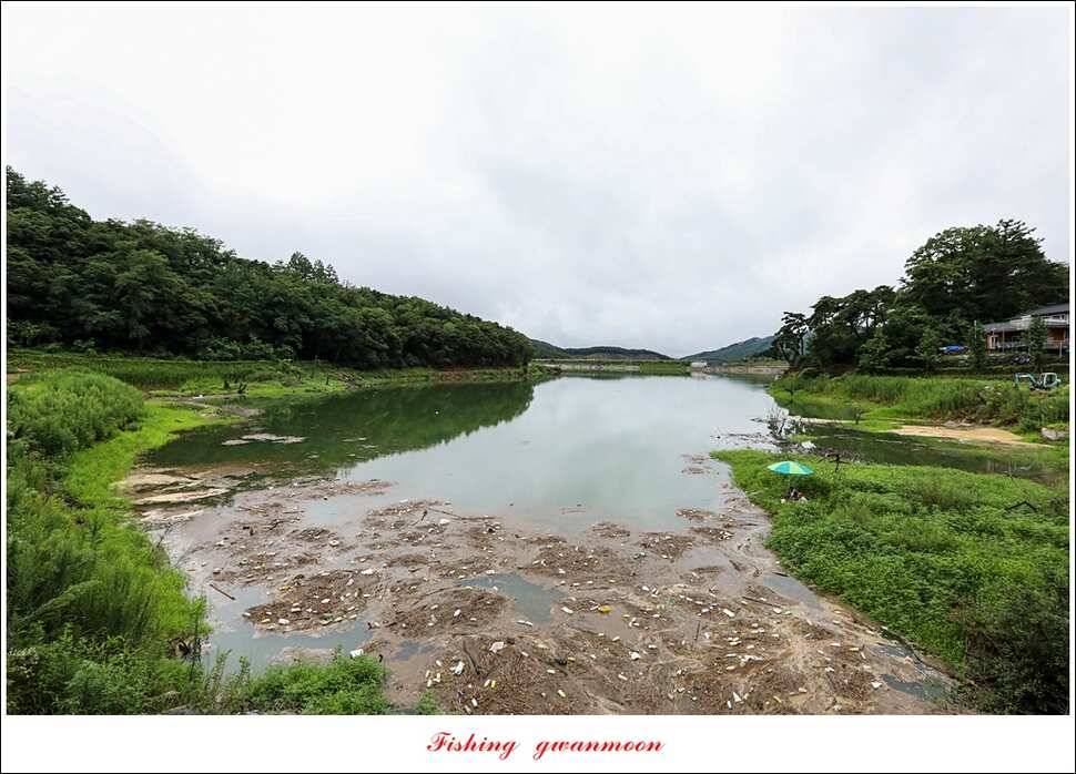 한버들 395 cm실리곡화곡지 마릿수 월척 조황 (조황조행기 - 특파원조황)