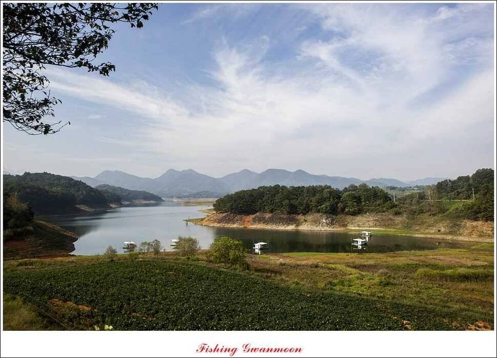 한버들실리곡돌감짱가네 조황 (조황조행기 - 특파원조황)