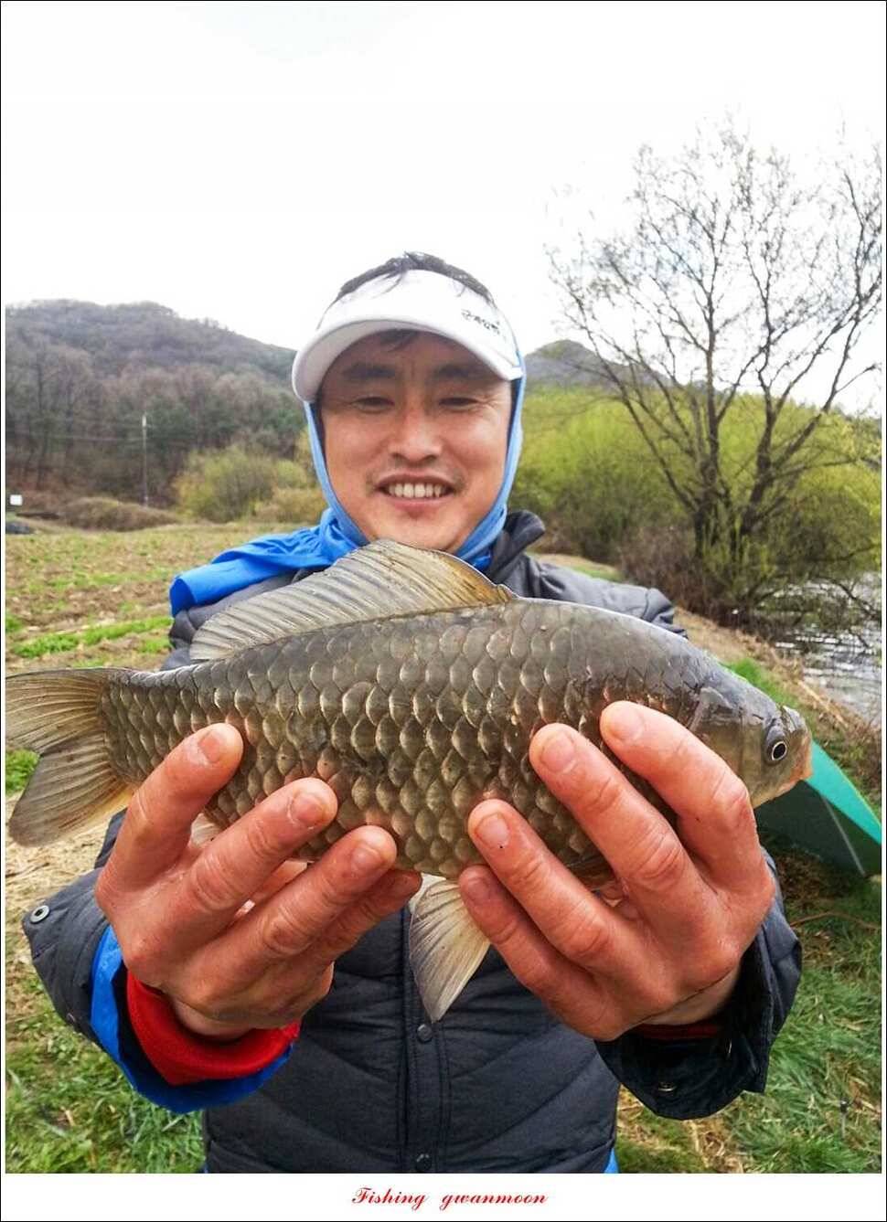 매전지 395 cm화곡지 조황 (조황조행기 - 특파원조황)